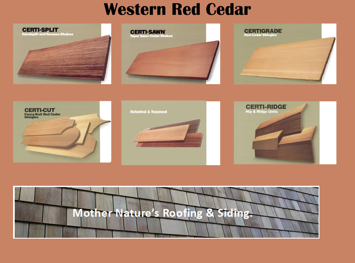 /img/western-red-cedar-pictures-for-home-page-caresel-2.jpg